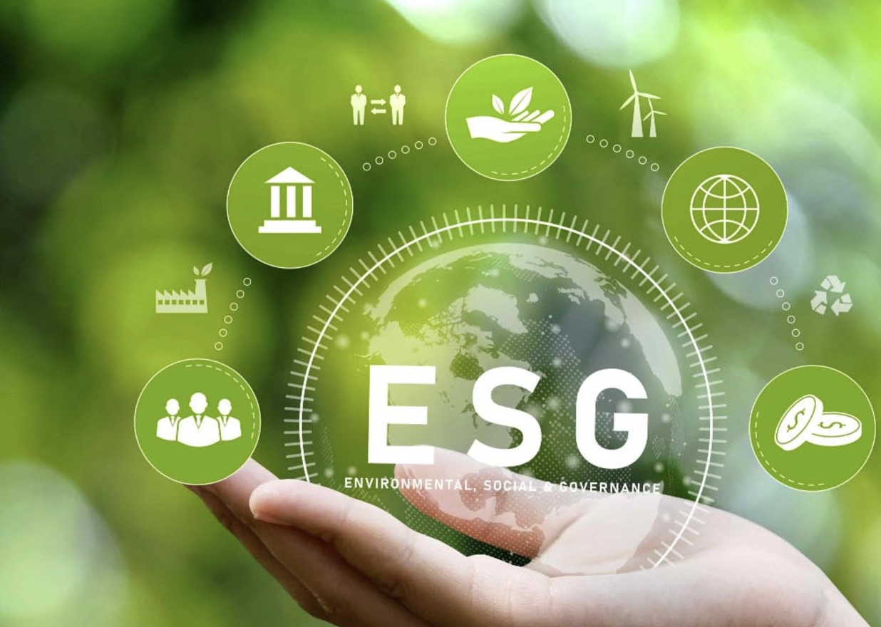 Packsize Launches ESG Report Program For Carbon Neutrality